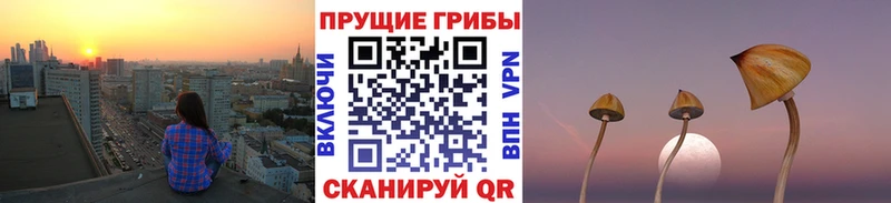 Псилоцибиновые грибы Cubensis  Ирбит 