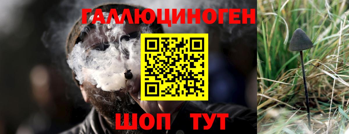 Псилоцибиновые грибы прущие грибы  Вход с VPN  Ирбит 